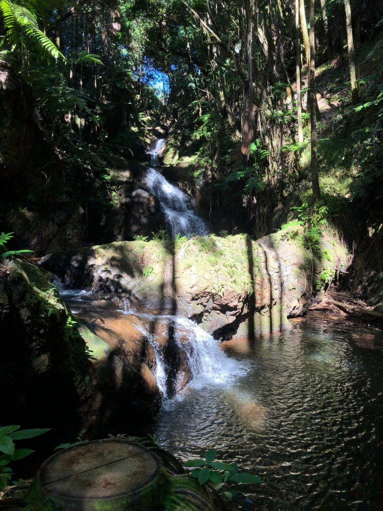 Onomea Waterfalls