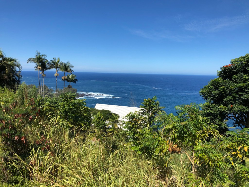 Laupahoehoe Point